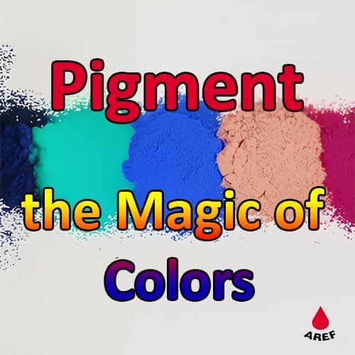 pigment, the magic of colors