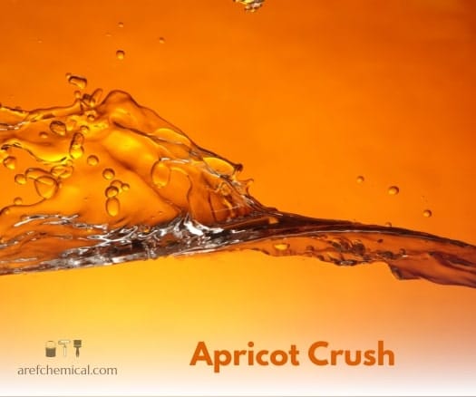 The WGSN Company 2024 color, Apricot Crush