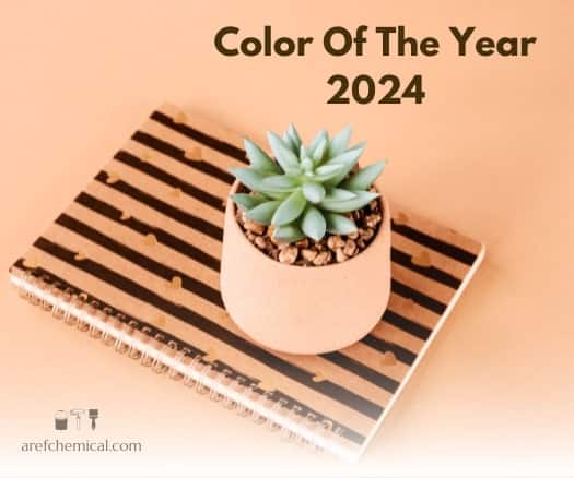 Color of the year 2024, Pantone 2024 color is Peach Fuzz