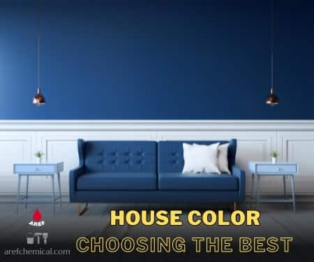 House color choice. The color of year 2024 for your room