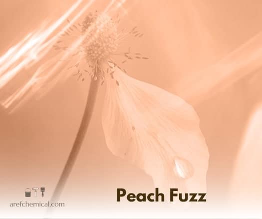 Pantone Color Institute 2024 color, Peach Fuzz
