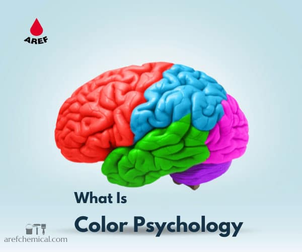 Tips on the color psychology of the human soul and mental health