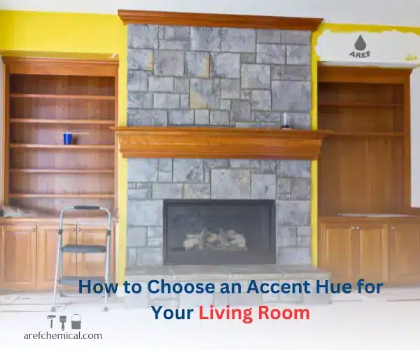 Living Room Accent Color
